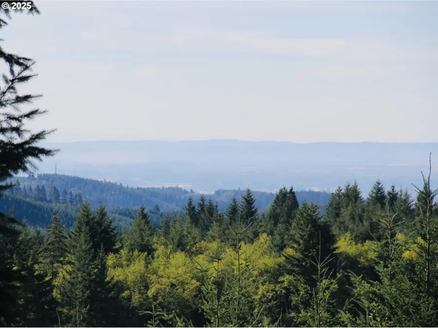 25308 NW Mountain Dr, Banks, OR 97106 - Image #3