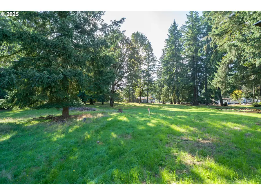 0002317 E Dogwood Dr (next To), Lyons, OR 97358 - Image #2