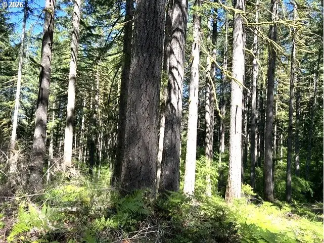 Tunnel Tract Parcel3, Banks, OR 97106 - #1