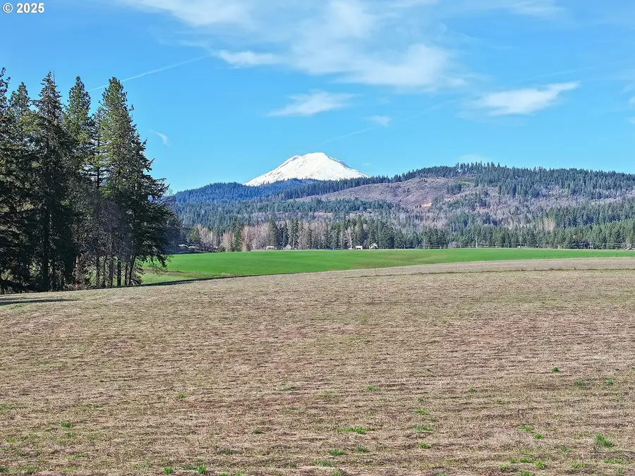 971 Highway 141, White Salmon, WA 98672 - Image #3