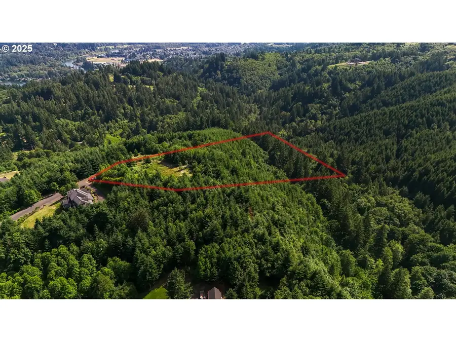 202 Pineridge Dr, Woodland, WA 98674 - Image #2