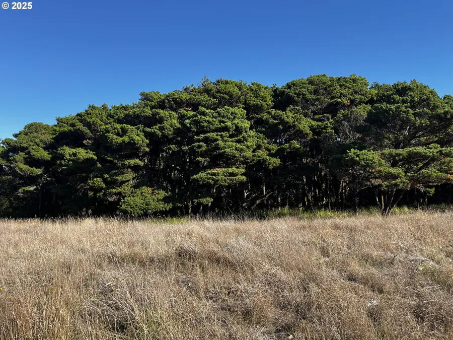 2 Lower Fourmile #1301, Bandon, OR 97411 - Image #3