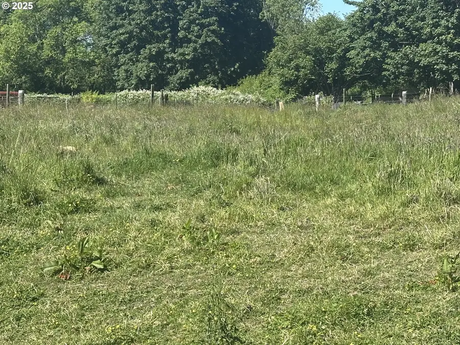 91171 Old Mill Town Rd, Clatskanie, OR 97016 - Image #3