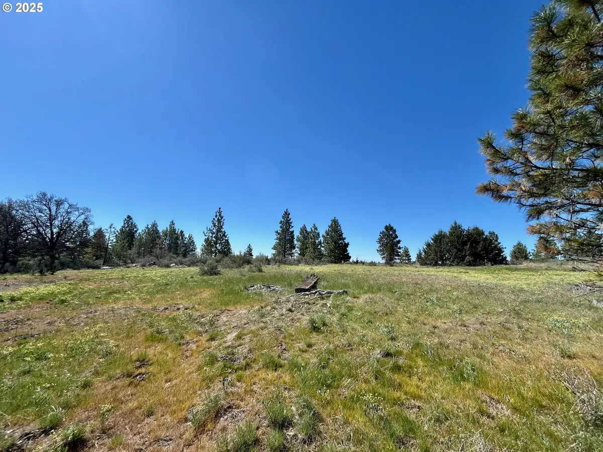 2 Lots On Pine St, Bickleton, WA 99322 - Image #1