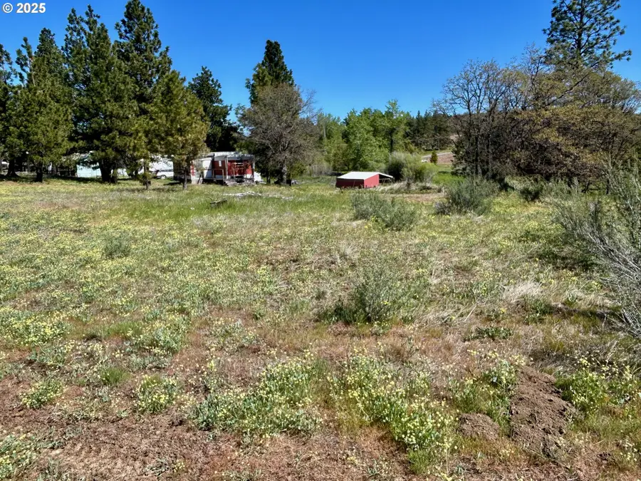 2 Lots On Pine St, Bickleton, WA 99322 - Image #3