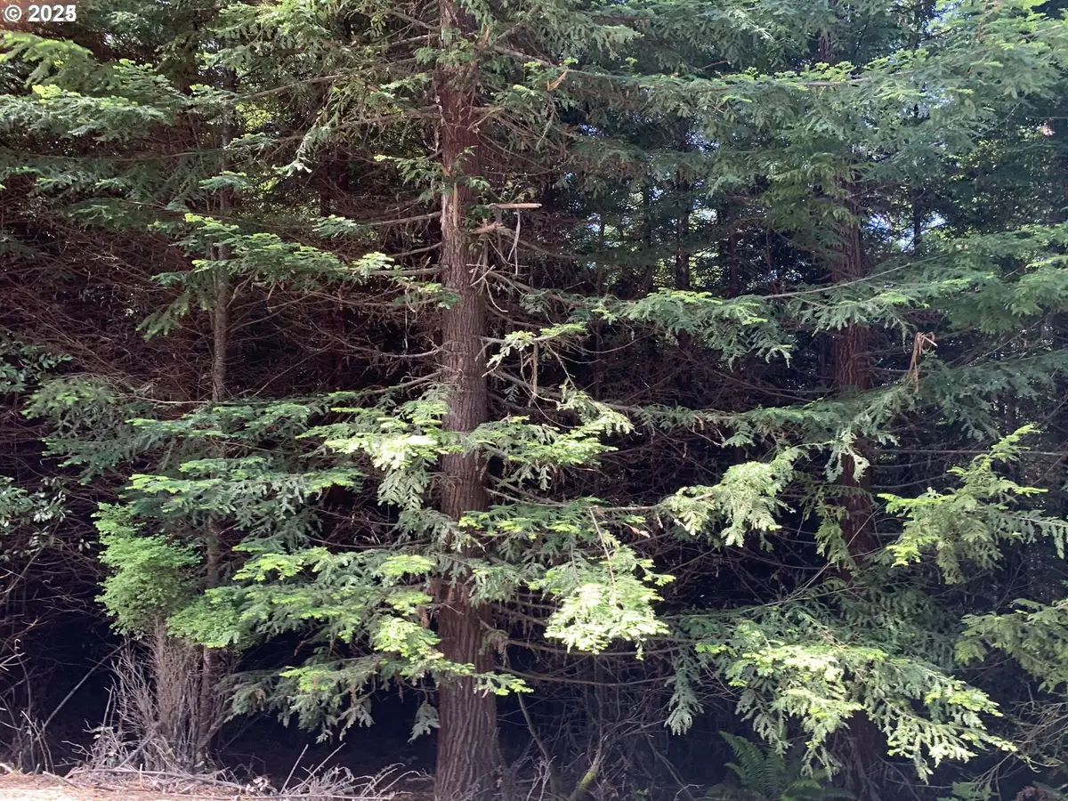 00 Shelley Rd, Coquille, OR 97423 - Image #1