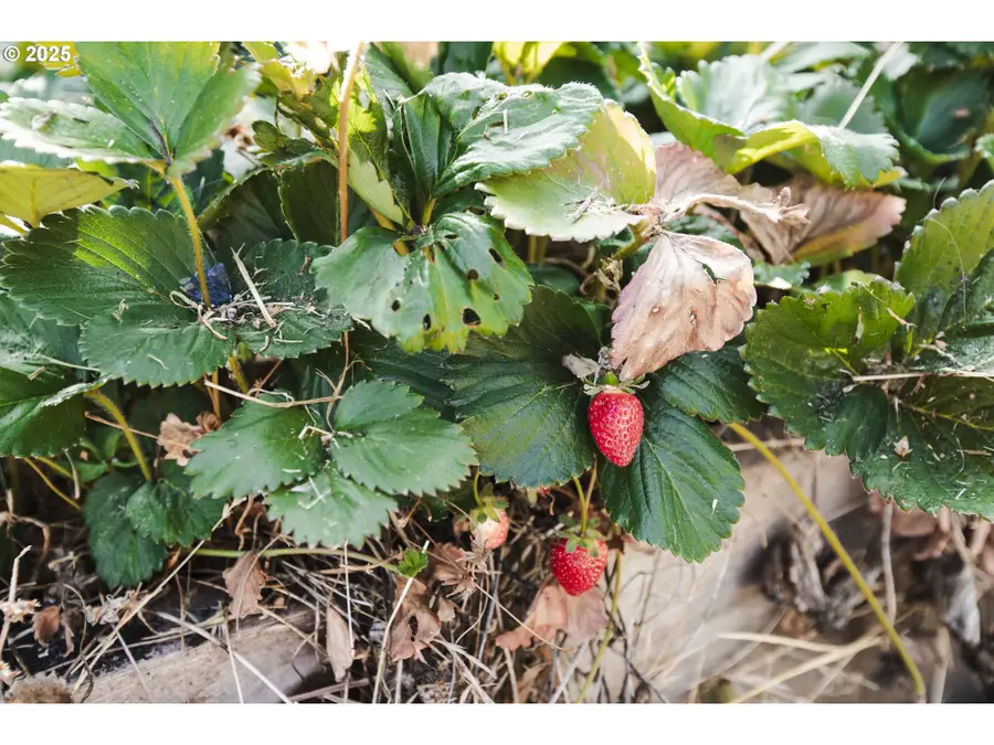 811 NE Clyde Pl Ne #116 C, Grants Pass, OR 97526 - Image #3