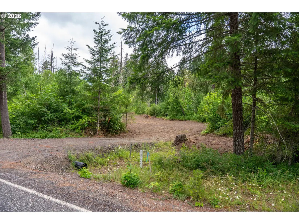 10392 Wind River Hwy, Carson, WA 98610 - #1