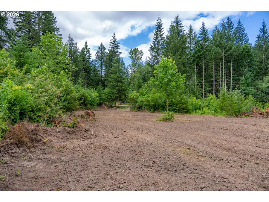 10392 Wind River Hwy, Carson, WA 98610 - #3