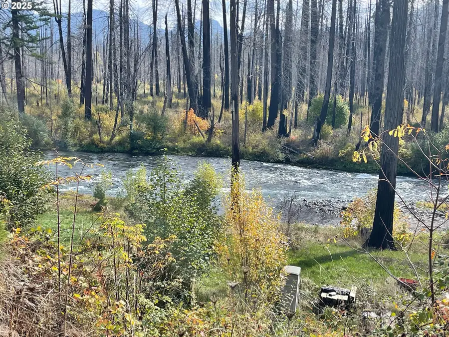 53198 Mckenzie Hwy, McKenzie River, OR 97413 - Image #2