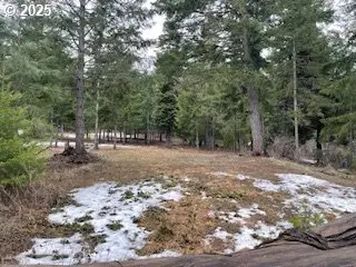 Kida Rd #3, White Salmon, WA 98672 - Image #1