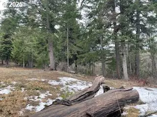 Kida Rd #3, White Salmon, WA 98672 - Image #2