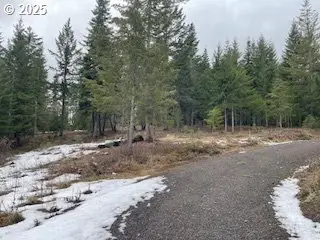 Kida Rd #3, White Salmon, WA 98672 - Image #3