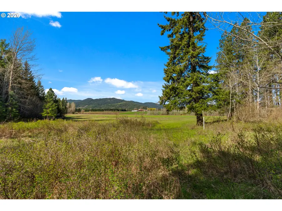 Stoller Rd, Trout Lake, WA 98650 - #2