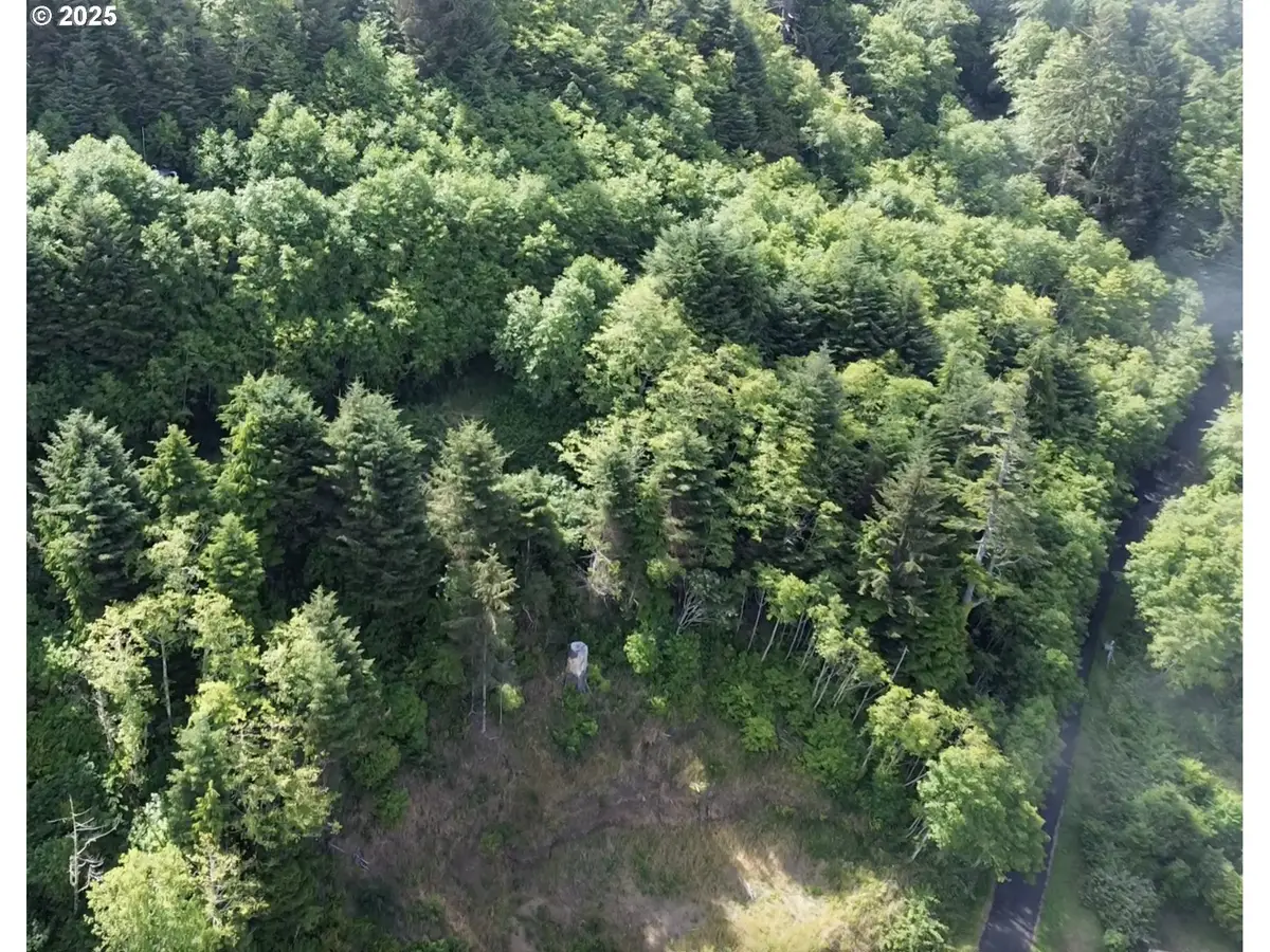 0 Gimlet Ln, Yachats, OR 97498 - Image #1