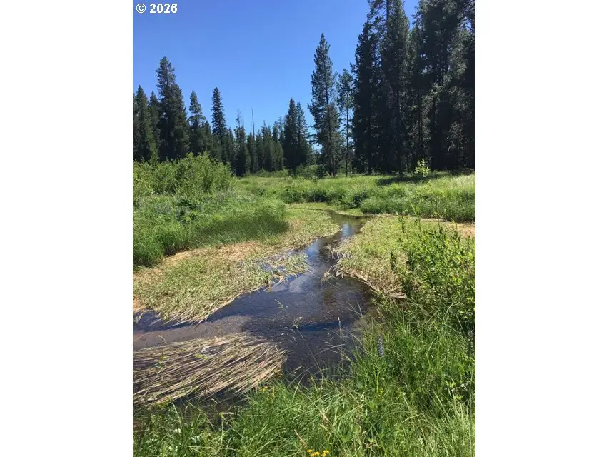 19 Two Rivers Rd, Crescentlake, OR 97733 - #3