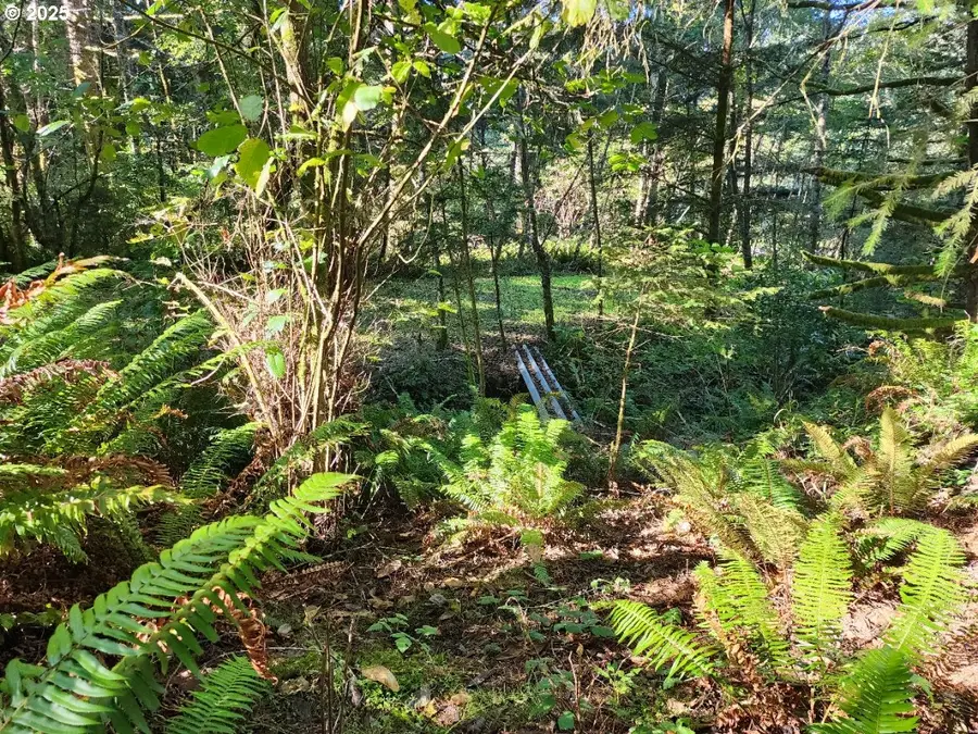 Eighty Acres Rd, Goldbeach, OR 97444 - #2