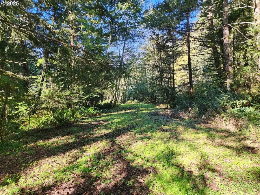 Eighty Acres Rd, Goldbeach, OR 97444 - #3