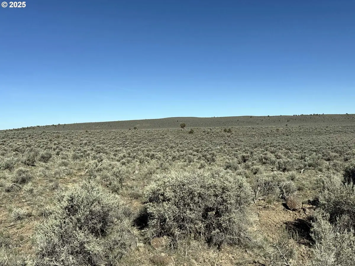 Browns Valley Rd #TL 1402, Silver Lake Fort Rock, OR 97641 - Image #1