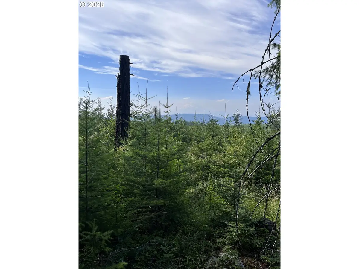 00 Winchester, Appleton, WA 98602 - #1