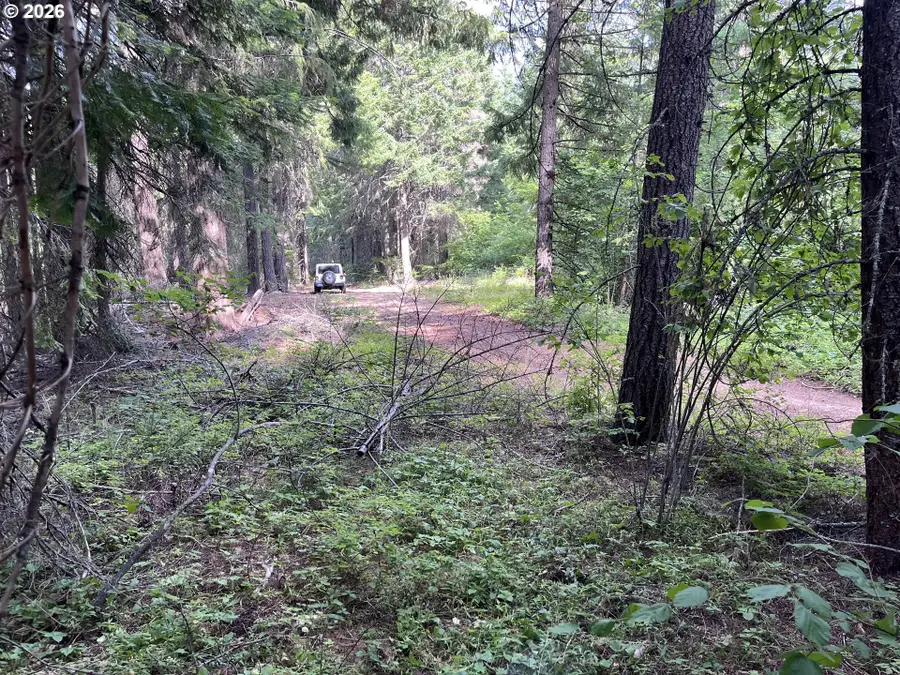 00 Winchester, Appleton, WA 98602 - #3