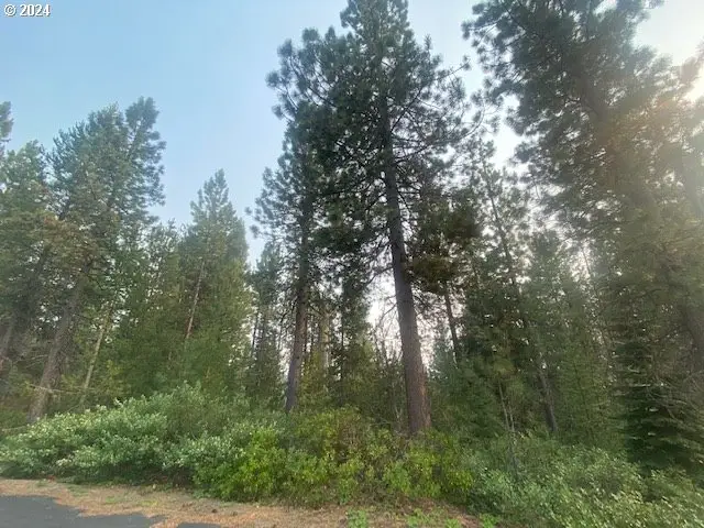 Snow Flake Ct #22, Crescent Lake, OR 97733 - Image #3