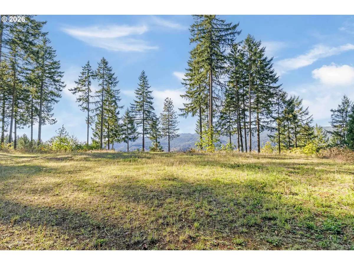 Alder Branch #216, Springfield, OR 97478 - #1