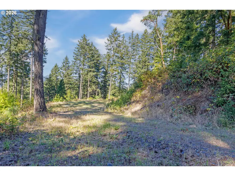 Alder Branch #216, Springfield, OR 97478 - #2