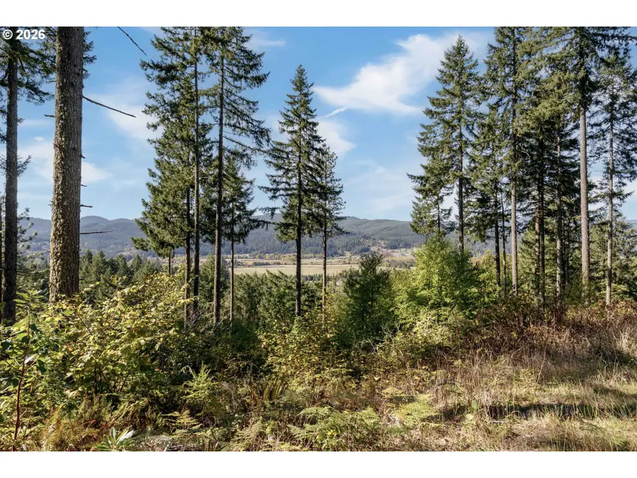 Alder Branch #216, Springfield, OR 97478 - #3