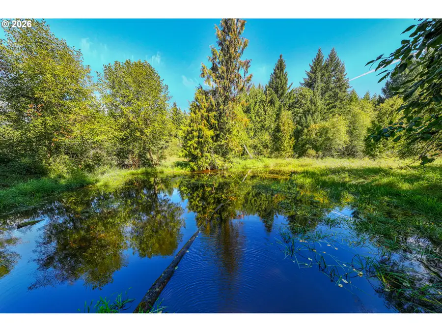 20462 S Young Rd, Molalla, OR 97038 - #3