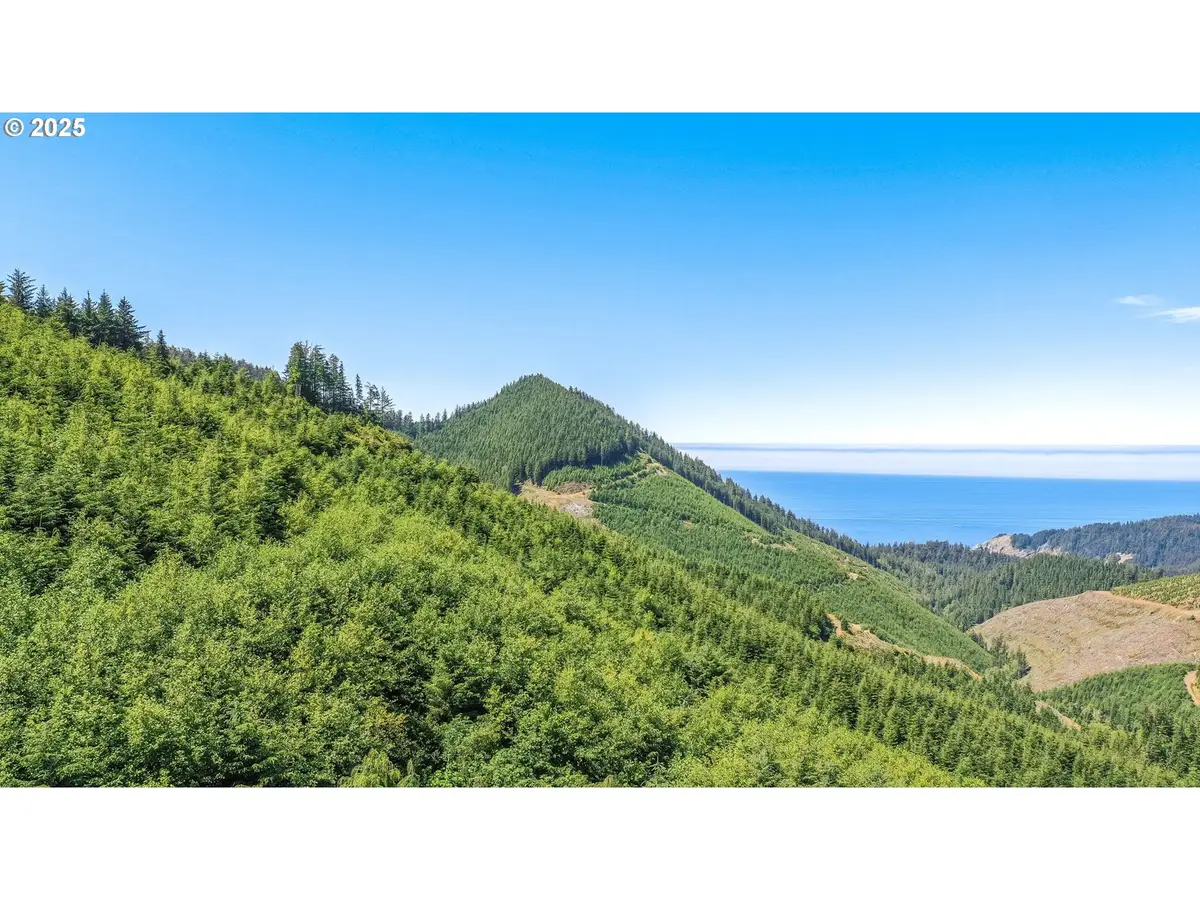 Hwy 101, Nehalem, OR 97131 - Image #1