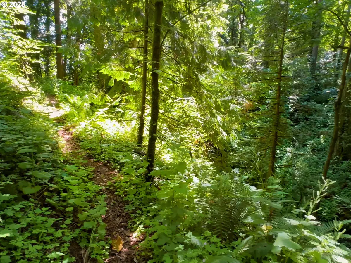 6320 SE Roethe Rd, Milwaukie, OR 97267 - Image #1