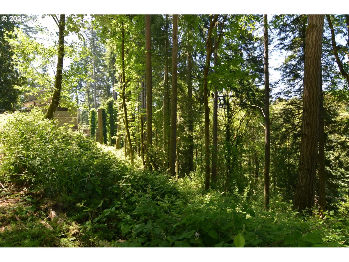 2427 Archwood Dr, Longview, WA 98632 - Image #1