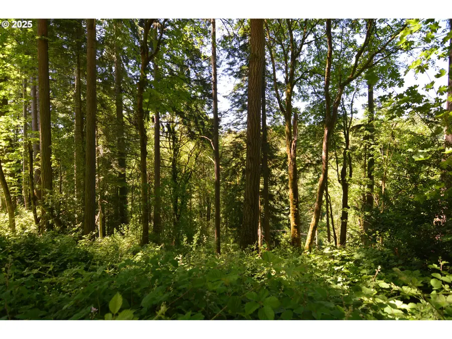 2427 Archwood Dr, Longview, WA 98632 - Image #2