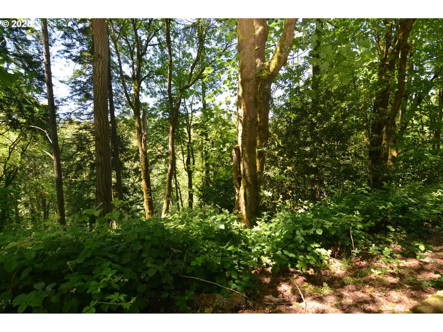 2427 Archwood Dr, Longview, WA 98632 - Image #3