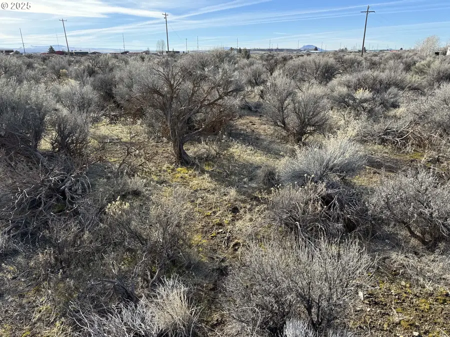Aspen #20800, Silver Lake Fort Rock, OR 97641 - Image #2