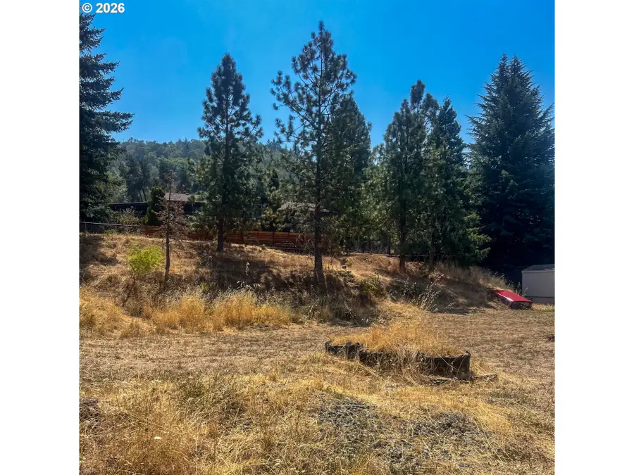 411 Wood Crest Dr, Tri City, OR 97457 - #2