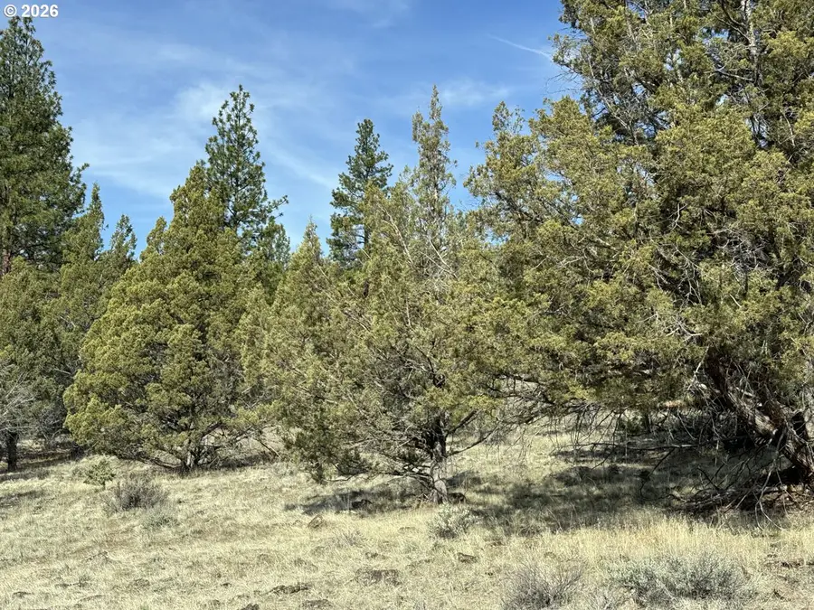 Off Hwy 140 #900, Beatty, OR 97621 - #2