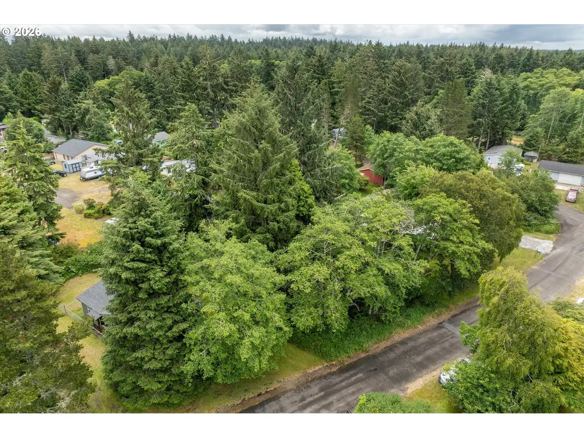 32206 R Pl, Long Beach North Beach Peninsula, WA 98640 - #1