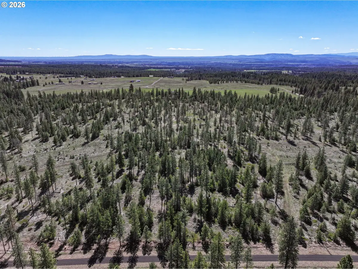 Ginger Way #2, Goldendale, WA 98620 - #1
