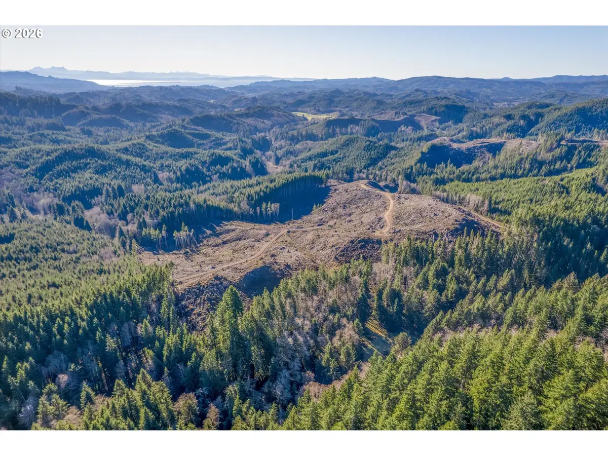W Deep River Rd, Naselle, WA 98638 - Image #1