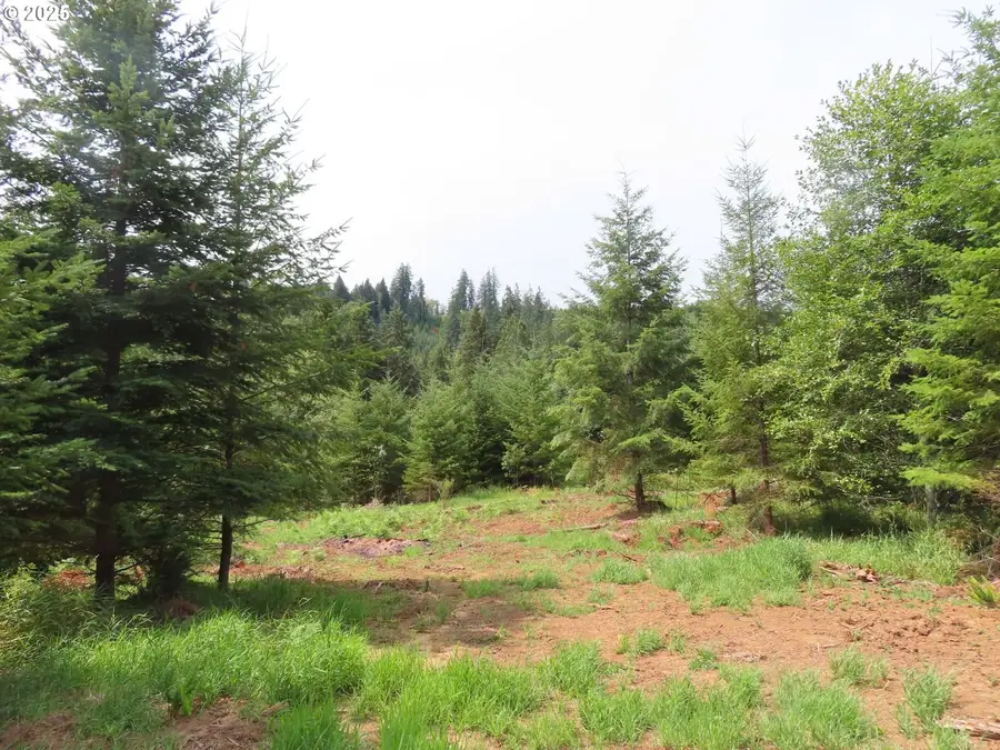 Mill Creek Ln #E, Longview, WA 98632 - Image #3