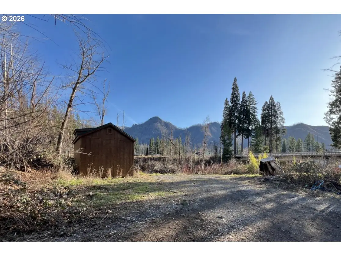 91241 Blue River Rd, McKenzie River, OR 97413 - #1
