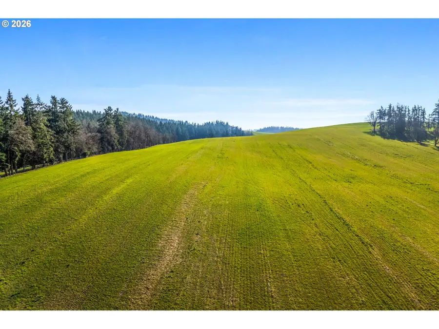 9900 S Wildcat Rd, Molalla, OR 97038 - #3