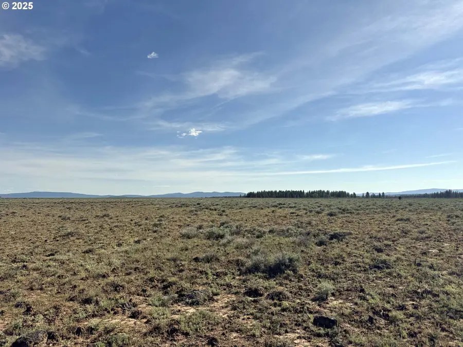 Oregon Pines Road #TL 2000, Beatty, OR 97621 - Image #2