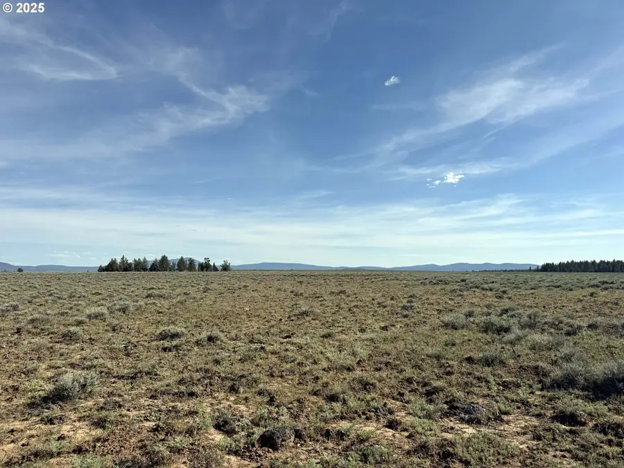 Oregon Pines Road #TL 2000, Beatty, OR 97621 - Image #3