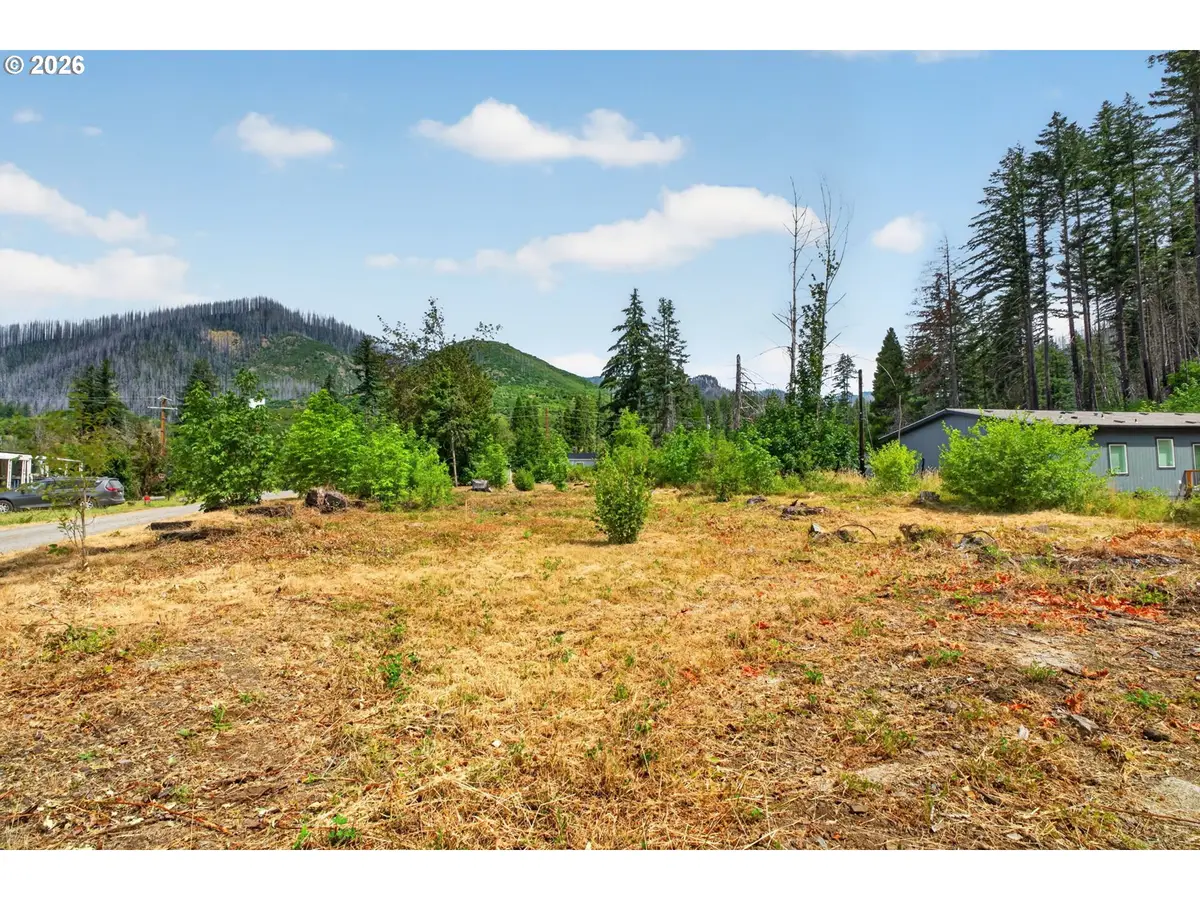 51790 Echo St, McKenzie River, OR 97413 - #1