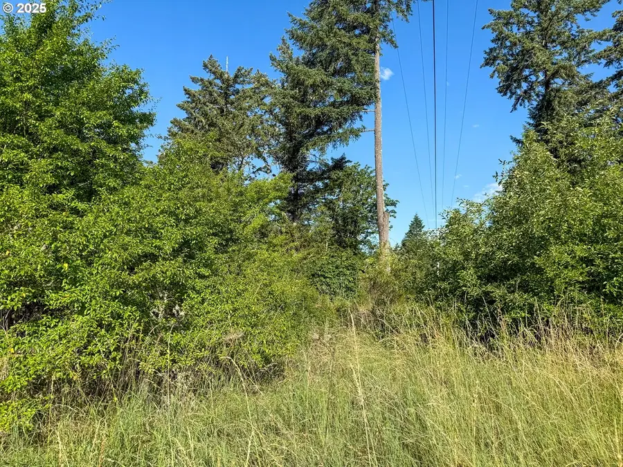 Row River Rd, Dorena, OR 97434 - Image #3