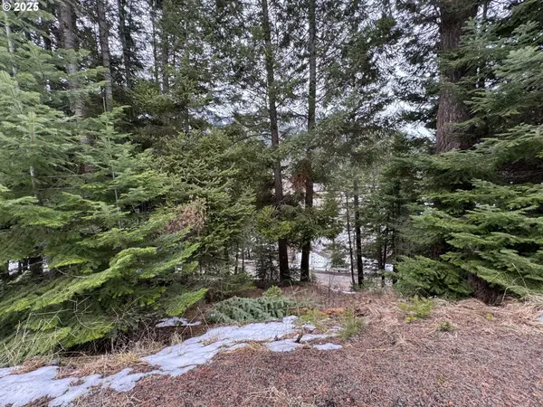 0 Forest Dell Rd, Joseph, OR 97846