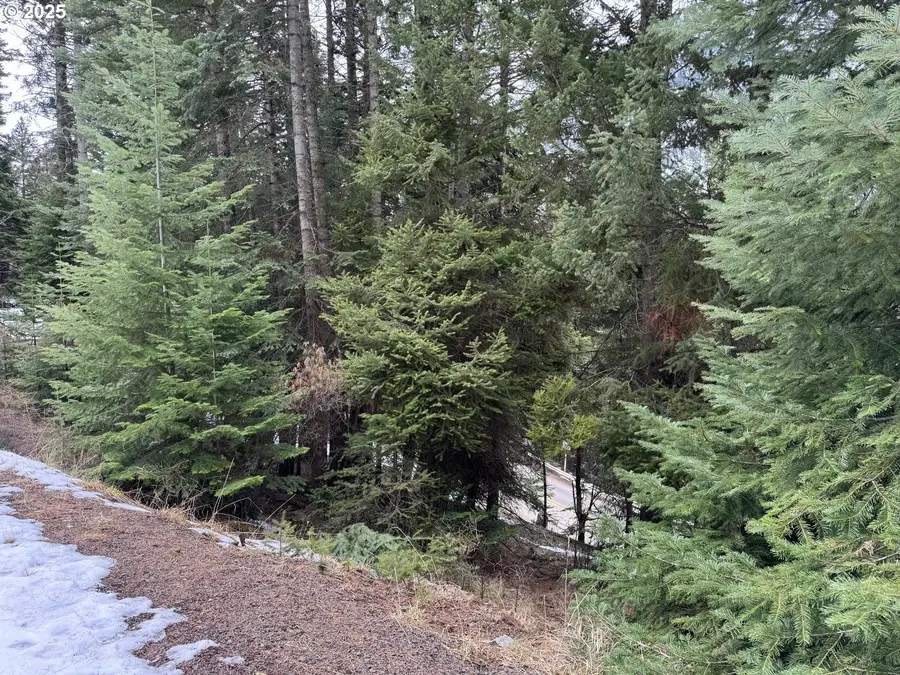 0 Forest Dell Rd, Joseph, OR 97846 - Image #2